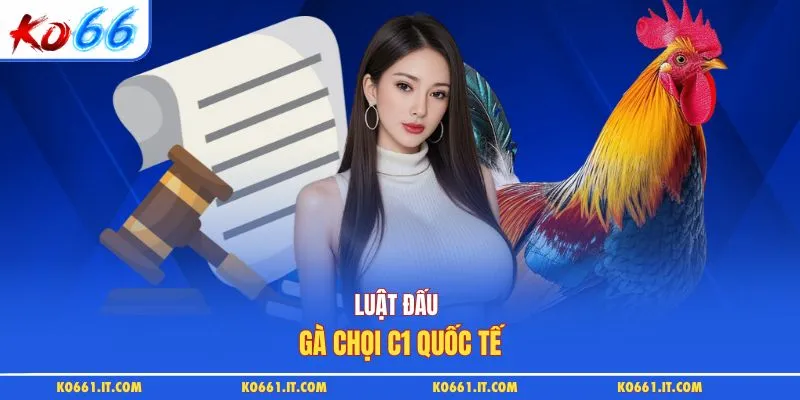 Luật đấu gà chọi C1 quốc tế