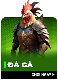 icon trò chơi ko66 đá gà