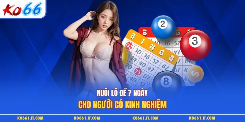 Nuôi lô đề 7 ngày cho người có kinh nghiệm