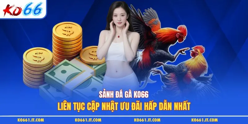 Sảnh đá gà KO66 liên tục cập nhật ưu đãi hấp dẫn nhất